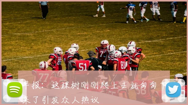 早报：这棵树刚刚爬上去就匆匆下来了引发众人热议
